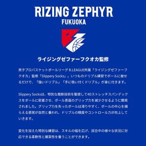 ★レビューでPayPayポイントプレゼント!★...の詳細画像1