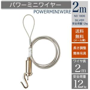 パワーミニワイヤーM200 長さ2m ピクチャー...の商品画像
