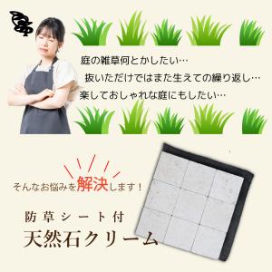 3箱セット 庭 タイル 置くだけ 敷石 石畳 ...の詳細画像1