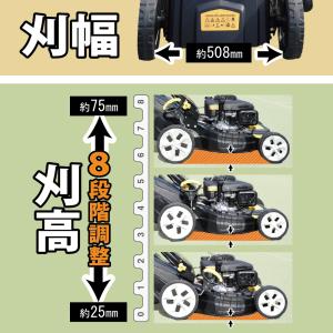【2年保証】自走式 草刈り機 収集 排出 2W...の詳細画像4