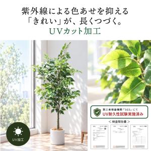 かわいい おしゃれ カフェ風 人工観葉植物 木...の詳細画像4