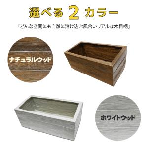 植木鉢 大型 軽量 長方形 野菜 軽い FRP...の詳細画像2