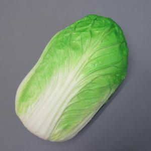 日本職人が作る 食品サンプル 新鮮・白菜 IP-246 |b03｜panfamcom
