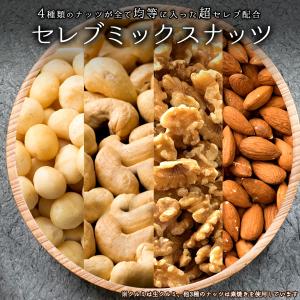 ミックスナッツ 850g 無塩 4種類均等配合セレブミックスナッツ  クルミ カシューナッツ アーモンド マカダミア 無添加 ナッツ 健康 美容 不飽和脂肪酸