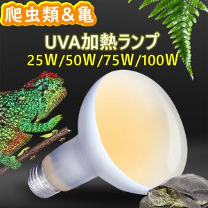 爬虫類ランプ 電球 飼育ケース用 110V UVA ランプ UV電球加熱ランプ ヒーター電球 両生類 トカゲ カメ用 温度コントローラー電球 生息地照明｜panni-fashion