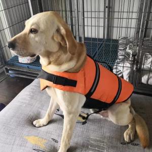 犬用 ライフジャケット 救命胴衣 浮き輪 ライ...の詳細画像1