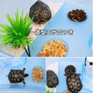 亀 水槽 プラスチック 温室 飼育ケース 爬虫類 両生類用品 の商品一覧 爬虫類 両生類用品 ペット用品 生き物 通販 Yahoo ショッピング