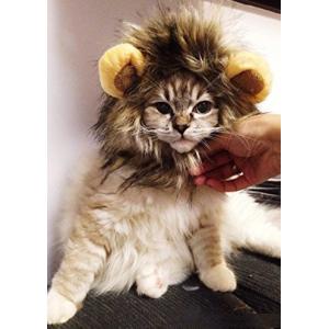 Panni　ペット用 ライオンたてがみ帽子 猫かつら　ペット 着ぐるみ 帽子 メール便対応｜panni123