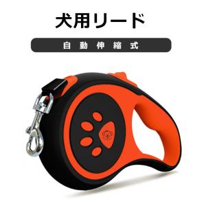 BURBERRY（バーバリー） ドッグリード 8073365 レザー バーバリー