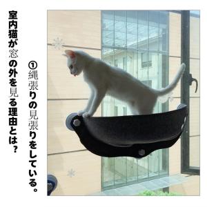 ハンモック 猫 ベッド 吸盤タイプ ネコ窓 取...の詳細画像2