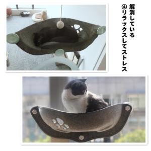 ハンモック 猫 ベッド 吸盤タイプ ネコ窓 取...の詳細画像5