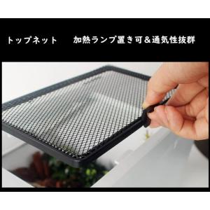 亀 水槽 カメ 飼育ケース ボックス タートル...の詳細画像4