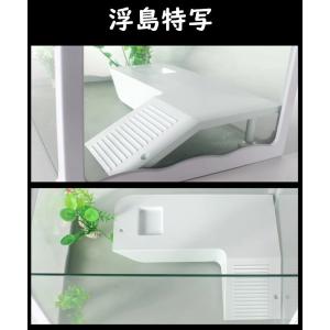 亀 水槽 プラスチック 温室 飼育ケース 爬虫類 両生類用品 の商品一覧 爬虫類 両生類用品 ペット用品 生き物 通販 Yahoo ショッピング
