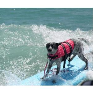 ペット ライフジャケット 犬用 救命胴衣 水遊...の詳細画像5