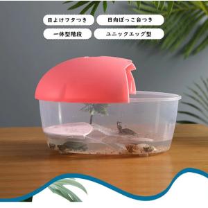 亀 爬虫類 水槽 亀水槽 飼育ケース カメ飼育...の詳細画像1