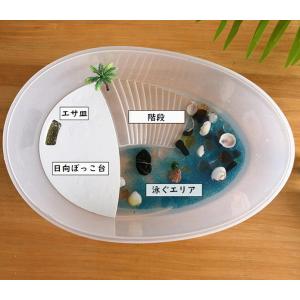 亀 爬虫類 水槽 亀水槽 飼育ケース カメ飼育...の詳細画像2