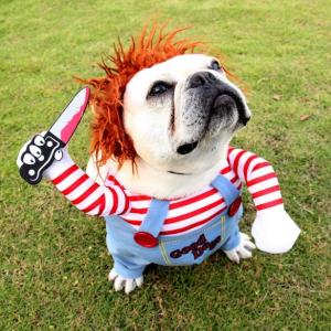 チャッキー チャッキー 変装 犬 ハロウィン ...の詳細画像1