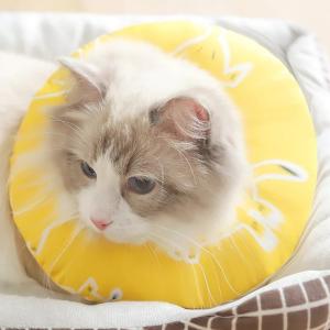 エリザベス カラー 布 小動物用品 の商品一覧 ペット用品 生き物 通販 Yahoo ショッピング