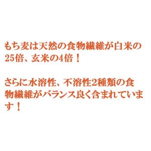 もち麦雑穀 ベーグル 10個セット 天然酵母仕...の詳細画像5