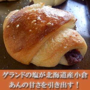 あん塩パン10個セット!天然酵母パン 冷凍便配送商品の詳細画像1