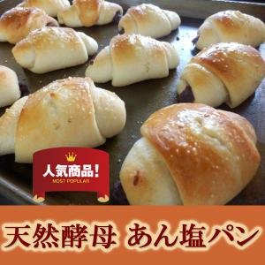 あん塩パン10個セット!天然酵母パン 冷凍便配送商品の詳細画像5