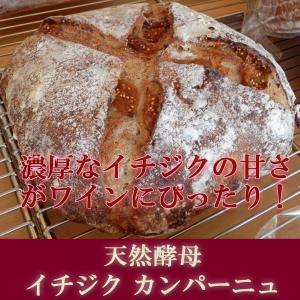 イチジクカンパーニュ　天然酵母パン　　冷凍便配送商品　