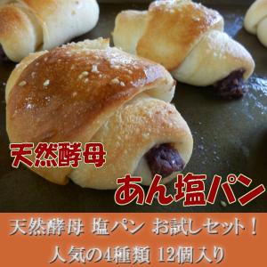 塩パン お試しセット! 人気の 天然酵母 塩パ...の詳細画像2