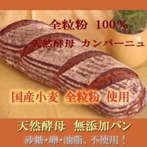国産小麦 天然酵母 全粒粉 100％ カンパーニュ 特大｜pannomorikurara