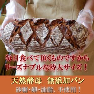 国産小麦 天然酵母 全粒粉 100% パン レ...の詳細画像3