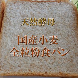 全粒粉 天然酵母 食パン 1.5斤 国産小麦使...の詳細画像1