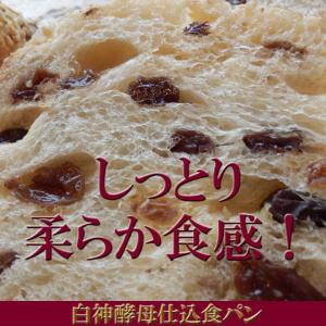 レーズン食パン セサミたっぷり 柔らかぶどうパ...の詳細画像2