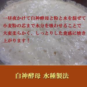 シナモン バター レーズン 食パン 白神酵母 ...の詳細画像2
