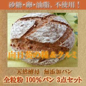 天然酵母 全粒粉 100% パン 3点セット ...の詳細画像3