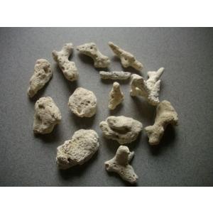 サンゴ砂特粗目　｜pantanal0101