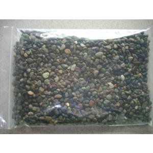 大磯2分　約10ミリ