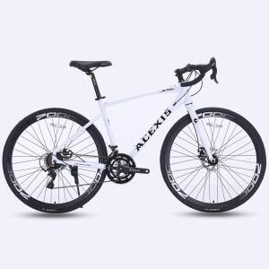 ロードバイク 自転車 ACEXIS L-TWO...の詳細画像1
