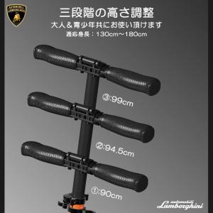 日本先行発売】Lamborghini (ランボ...の詳細画像5