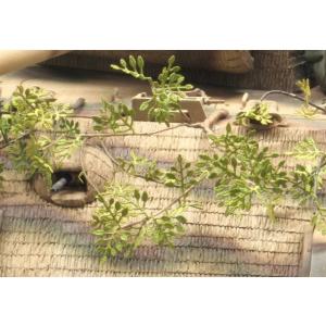 紙創り A-21A 1/35 カモフラージュA