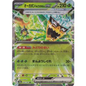 グレイシアex SAR 206/187 : 通販のPAO Yahoo!ショッピング店 - 通販