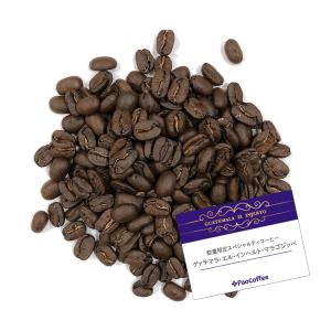 数量限定スペシャルティコーヒー グァテマラ・エル・インヘルト・マラゴジッペ 200g｜paocoffee