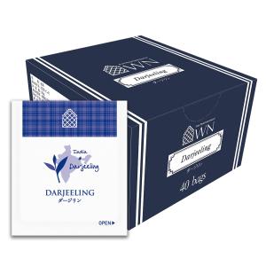 ネスカフェ プレジデント エコ＆システムパック 60g×12個セット ネスカフェ プレジデント エコ＆システムパック ( 60g