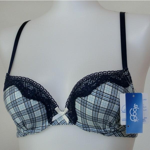 【B70,B75,C65,C75,D65,D70】トリンプ 　ブラジャー 　スロギー046　ブルーB...