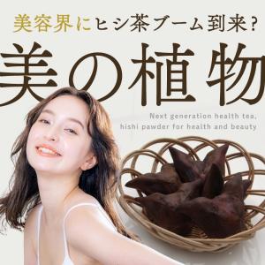 【3個】【すぐ飲める粉末分包】『簡単 ヒシ茶 ...の詳細画像2