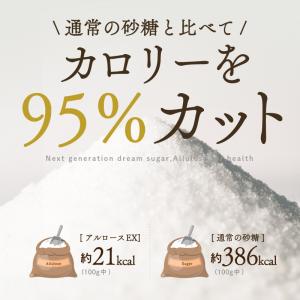 『希少糖 アルロース EX 1kg』夢の希少糖...の詳細画像3