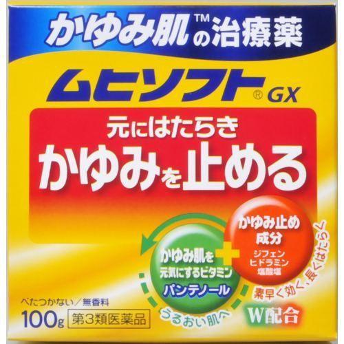 【第3類医薬品】 かゆみ肌の治療薬 ムヒソフトGX 100g