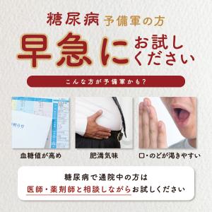 【3個】『ケイヒ末 顆粒 30包』30日分 糖...の詳細画像2