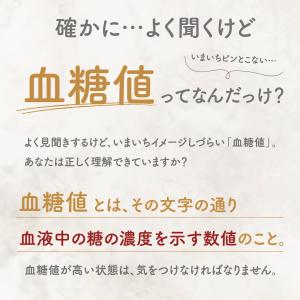 【3個】『ケイヒ末 顆粒 30包』30日分 糖...の詳細画像4