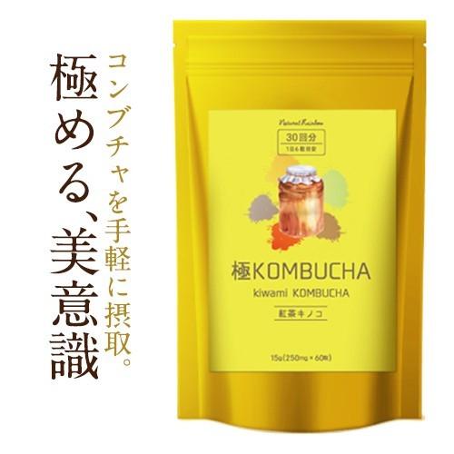 『コンブチャ 極KOMBUCHA 60粒 ＜５袋セット＞』 メール便 サプリ オリゴ糖 紅茶キノコ ...