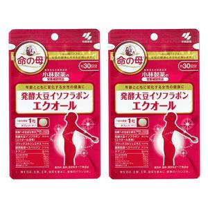 2個セット】ユニシティ UNICITY リファイバー Lifiber 期限：2024年11