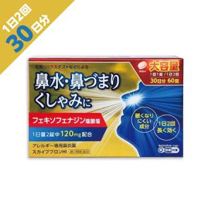 【第2類医薬品】  『スカイブブロンHI 60錠』 ≪大容量≫ メール便 花粉症に（アレグラfx アレルビと同成分） 鼻炎薬 【税制対象】☆｜papamama